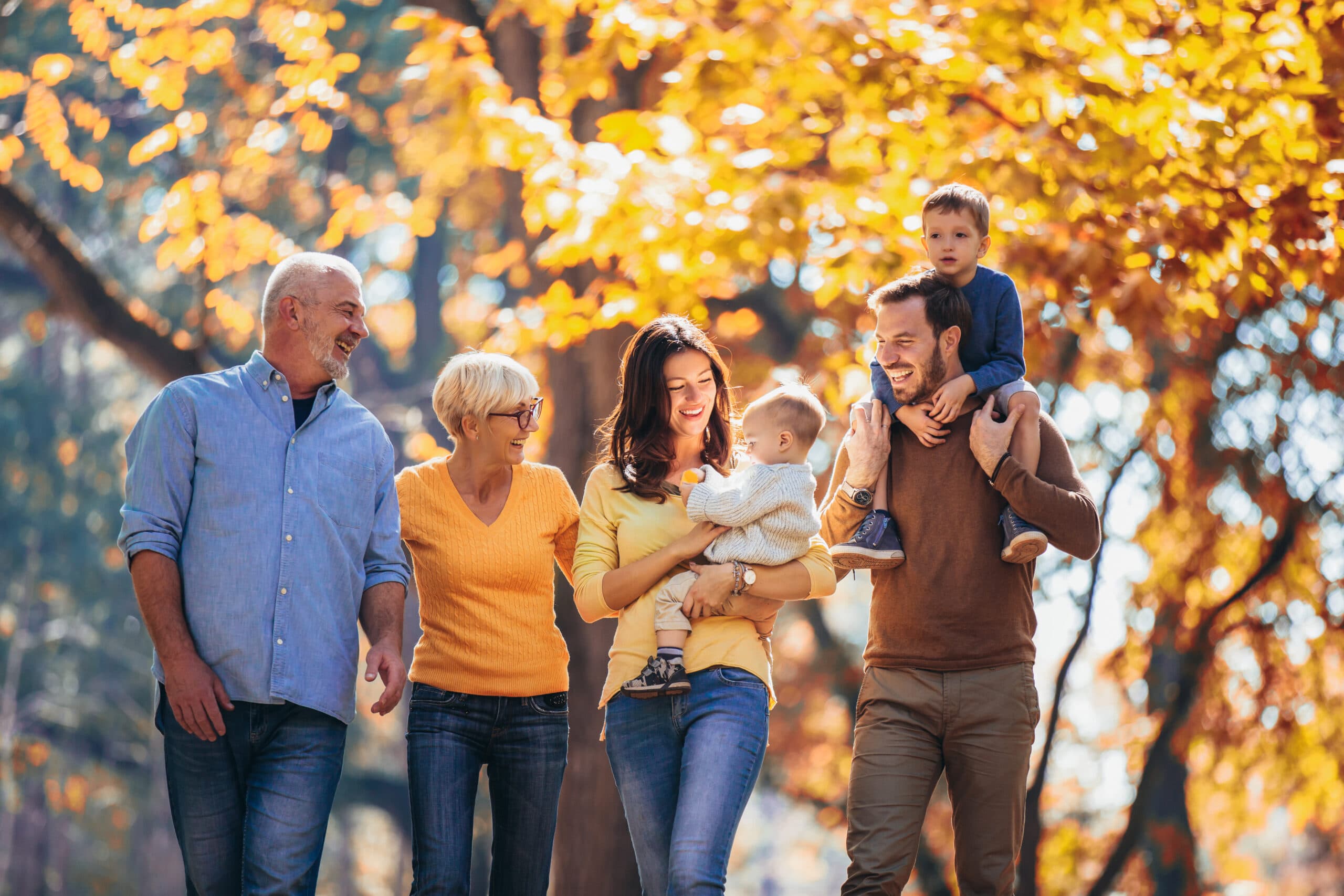 Long Stay (D) - De Facto Visa Assistance